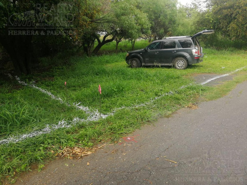 Imagen 2 de 11 de Terreno - Palo Blanco