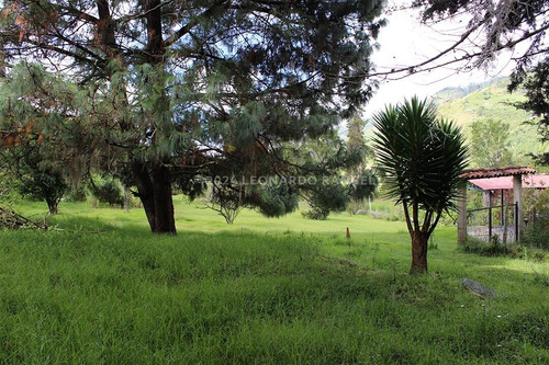 Se Vende Bella Finca De 10 Hectáreas Con Casa Colonial En Cacute Sector Santa Elena, Mérida.