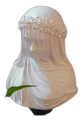 Estátua De La Dama Velada