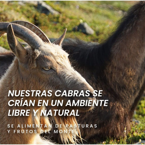 Imagen 4 de 10 de Leche De Cabra En Polvo Entera La Primera 12 X 250g-sin Tacc