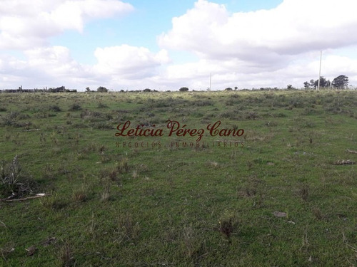 Venta Chacra Jose Ignacio 2 Has - Ref: 19207