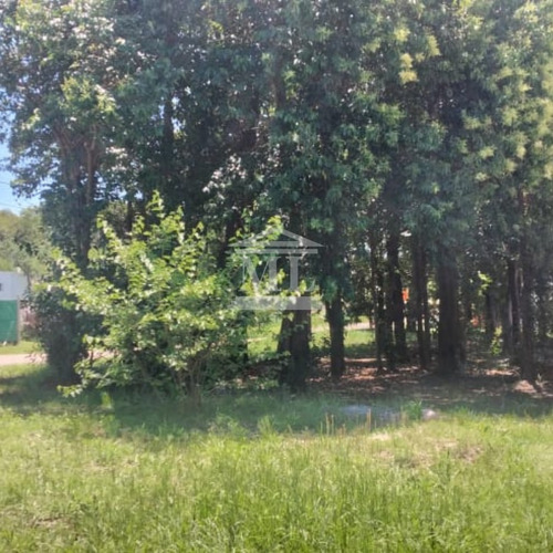 Villa Catalina - Campos Verdes - Terreno
