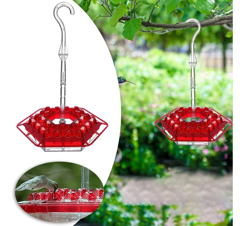 Imagem 9 de 10 de Alimentador Bebedouro Inteligente Hexagonal Para Beija-flor