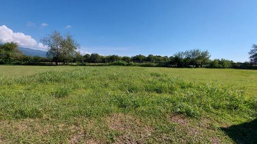 Imagen 2 de 4 de Terreno En Venta En Barrio Solar De San Pablo