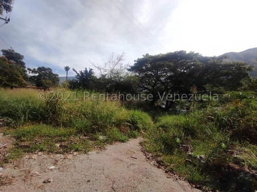 Imagen 6 de 7 de Amplios Terreno En Plena Avenida El Castaño De Maracay- Mfc 22-12299
