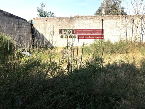 Imagen 9 de 10 de Venta Casa A Reciclar Terreno En Trinidad Flores 309m2