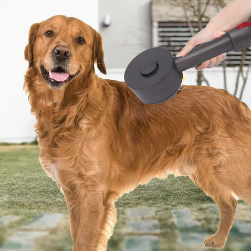 El Accesorio Para Aspiradora De Pelo De Mascotas Elimina El