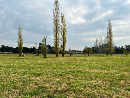 Imperdible Lote De 2.300 M2 En Los Girasoles De Luján Barrio Cerrado