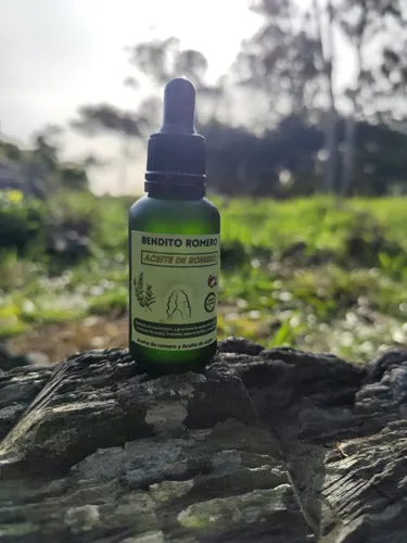 Anticaída, Crecimiento, Anti Caspa, Aceite Romero Cabello