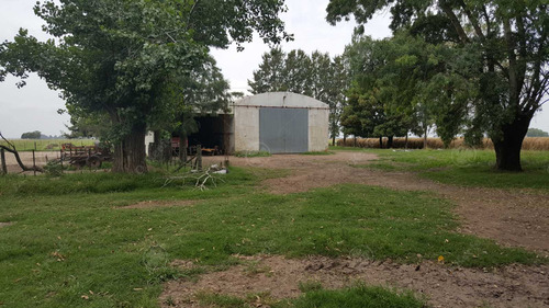 Imagen 12 de 17 de Campo En Venta 780 Has Mixto En Chascomus- 90 % Clase Iii.