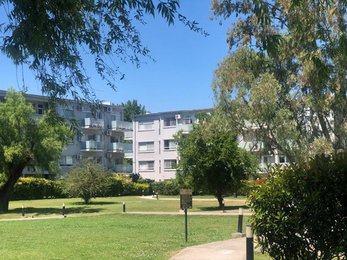 Departamento En Alquiler En La Mora (tigre), Tigre, G.b.a. Zona Norte