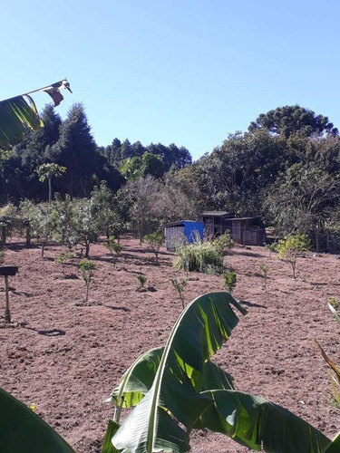Chácara 3.500 M² Com Área De Plantio - Cód.076