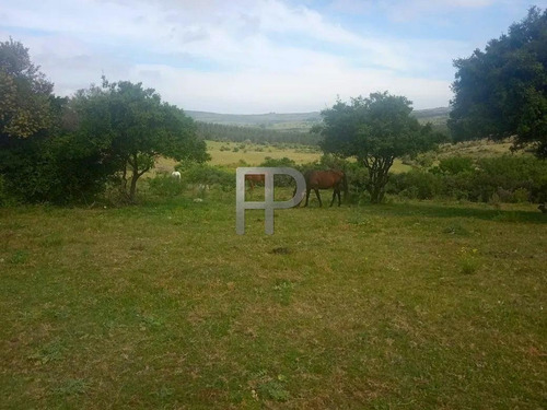 Imagen 3 de 12 de Chacra En Venta Pueblo Edén 2 Dorm, 5 Has #1744