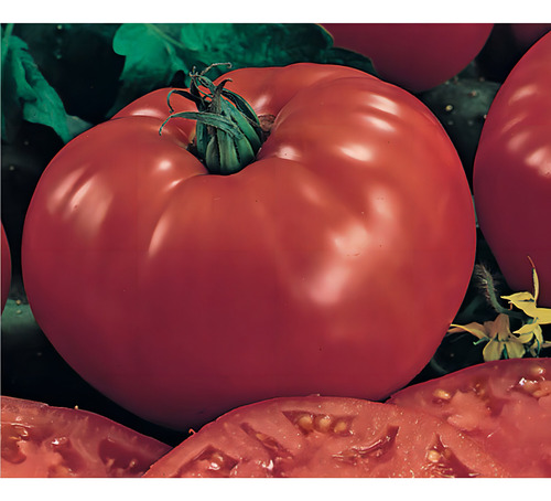 Sementes De Tomate Gaucho Pcte C/ 50 Gramas