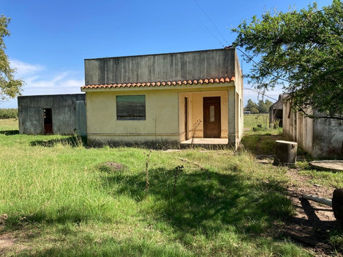 Exte. Chacra 6hás 4800m2 En Las Violetas