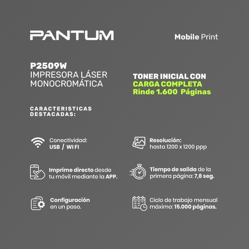 Imagen 8 de 10 de Impresora Pantum Hero P2509w Con Wifi 220v - 240v Gris