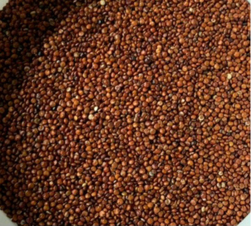 Quinoa Roja Importada A Granel