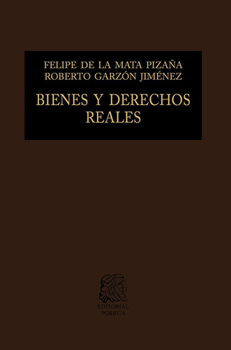 Libro Bienes Y Derechos Reales