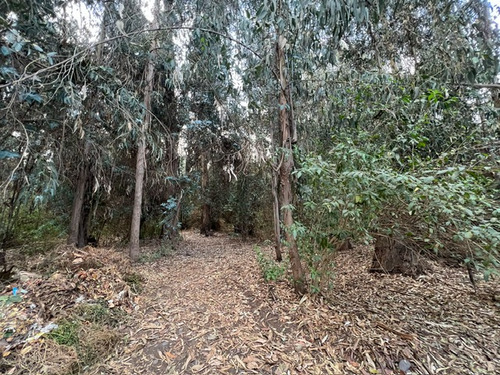 Casa Con Buen Terreno, Sector Comercial El Monte