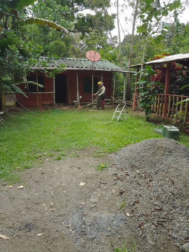 Sarapiqui Horquetas Vendo Propiedad Con Casa