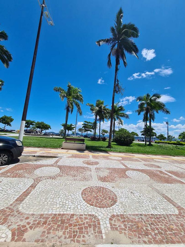Imagem 29 de 30 de Apartamento Com 1 Dorm, Ponta Da Praia, Santos - R$ 380 Mil, Cod: 965 - V965