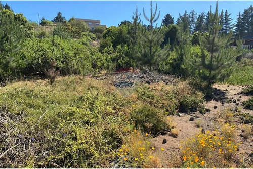 Terreno 1.500m² Alta Plusvalía En Reñaca Los Pinos