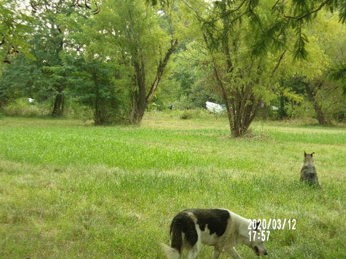 San Jose Entre Rios , Vendo