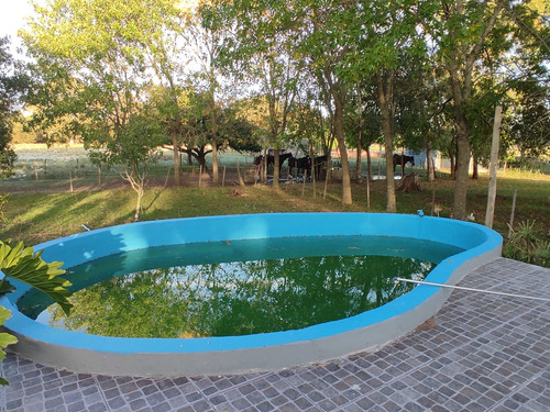 Imagen 30 de 30 de Lindísimo Campo En Veronica, Punta Indio