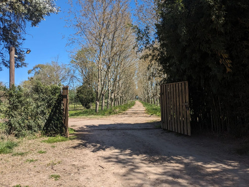 Venta Chacra 1 Ha, Arbolado Manzanares, Pilar