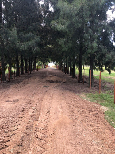 Imagen 9 de 10 de Lotes En Cañuelas.