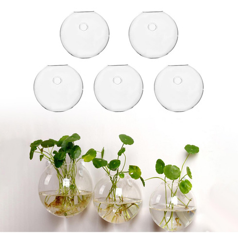Jarrón Hidropónico De Terrario De Flores, Decoración 12cm