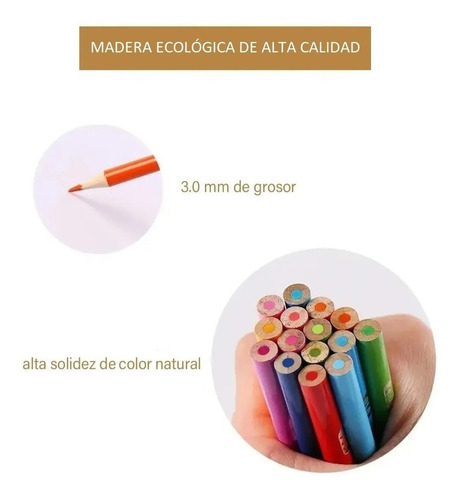 Lapices 72 De Colores Profesionales Creative Colores
