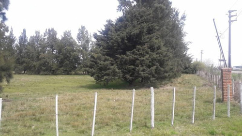 Imagen 5 de 8 de Chacra En Venta - Zona La Plata