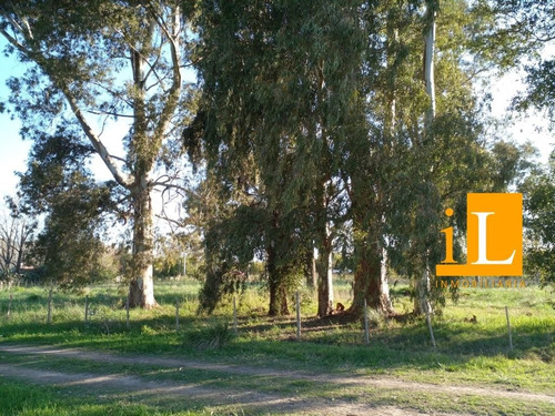 Lotes Sobre Ruta 210 - Cnel. Brandsen.