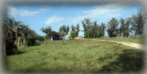Campo De 35 Hectáreas (con Casa)