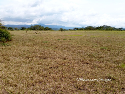 Increíble Terreno Con Manantial
