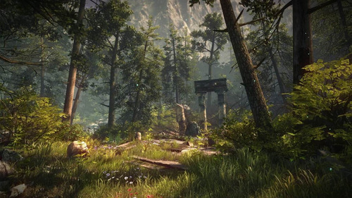 The Forest - Pc Steam