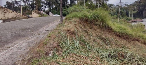 Imagem 11 de 12 de Terreno À Venda, 450 M² Por R$ 150.000,00 - Escola Agrícola - Blumenau/sc - Te0093