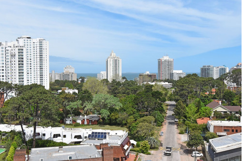 Alquiler Departamento Punta Del Este 2 Dormitorios