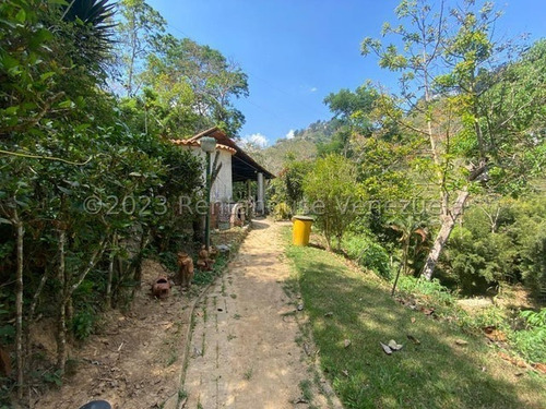 Imagen 11 de 12 de Hacienda En Venta En El Hatillo