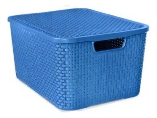 Caixa Rattan P/ Guardar Documentos Com Tampa 15lts Colorida Cor Azul