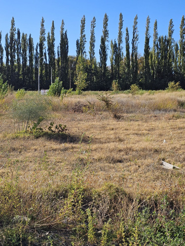 Terreno En  Altos De Alberdi Iv