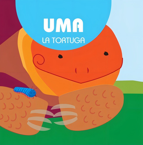 Libro Mis Primeros Amigos Uma La Tortuga - Lorena Scigliano