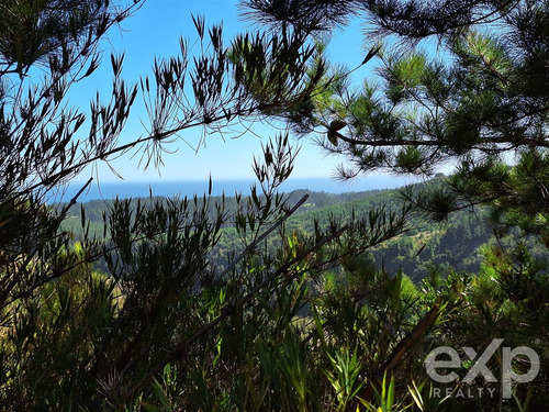 Vende Sitio L37 5.000 M2 Vista Al Mar Pichilemu