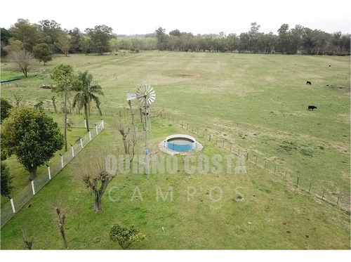 Imagen 13 de 13 de Campo Venta Las Heras Cabaña Producción Engorde Villars