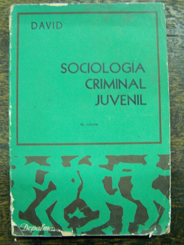 Sociologia Criminal Juvenil * Pedro David * Depalma *