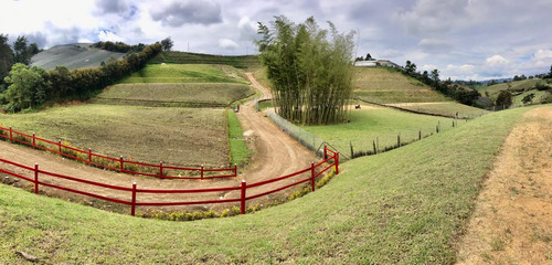 Hermosos Lotes En Venta Parcelados En La Vereda Cristo Rey.