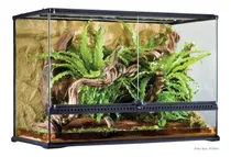 Comprar Large X-tall Terrarium