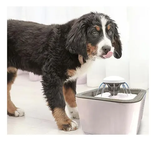 Fuente De Agua Bebedero Para Gatos Y Perros De 2.5 Litros