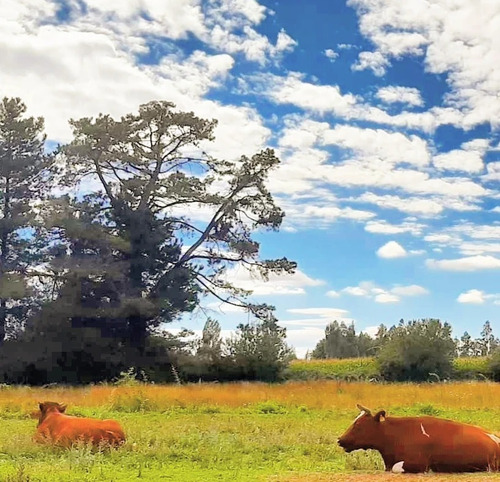 Venta De Parcelas Sustentables A 9 Km De Los Ángeles
